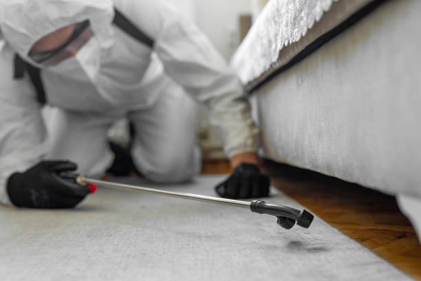 Professional Bed Bug Control technician working in Hawkins County County, TN